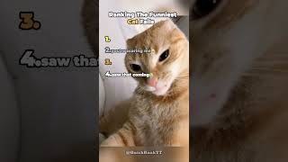 Ranking The Funniest Cat Fails