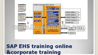 SAP EHS training online & corporate training