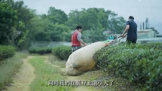 【Teascovery 發現茶】兒茶素綠茶｜愛料理市集