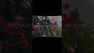 Agar Tum Saath Ho 💔 | Heart Touching Love Status | Slowed + Reverb"