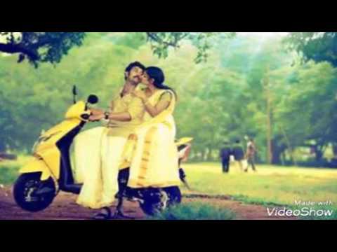 Mesmerising Love whatsapp status @ ZUTNIT UDOON
