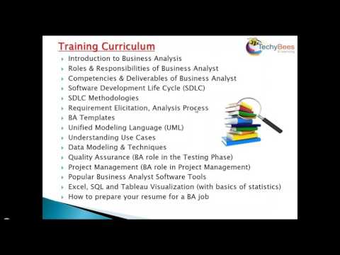 BUSINESS ANALYST (Apr 2017) Intro Session  - Trainer Lakshmi Sree