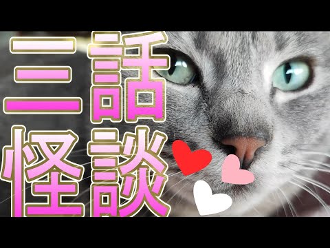 お怪談 三話 ①悪霊解消法②呪い返し発動方法③頼もしい幽霊さんThere is an English translation in the summary column below the video