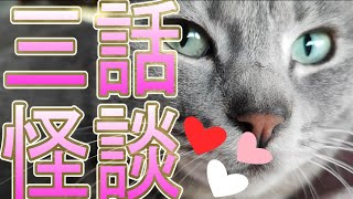 お怪談 三話 ①悪霊解消法②呪い返し発動方法③頼もしい幽霊さんThere is an English translation in the summary column below the video