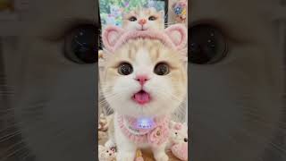 Pink Lips + Round Eyes + Tongue = NOT STRONG! #shorts #Aianimals