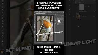 How to Enhance Images in Photoshop using High Pass Filter #photoshop #tutorial