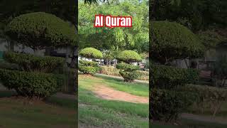 Al Quran Kareem Urdu Translation #shortvideo #quran #youtubeshorts