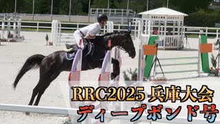 【RRC2025兵庫大会】ディープボンド号×惣田雄一職員｜走行動画（待機馬場への出入りも長めに撮ったよ）