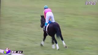新潟4レース障害未勝利 テイエムタツマキ