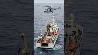 Helicopter rescue for a whale covered in barnacles!