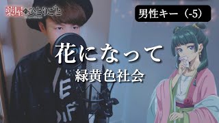 【男性キー（-5）】花になって - Be a flower - /緑黄色社会 （薬屋のひとりごと / The Apothecary Diaries）主題歌【歌ってみた】歌詞つき