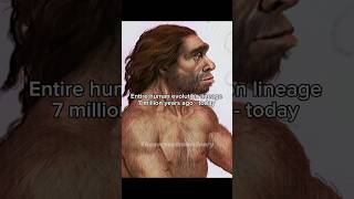 The 7 million year human evolution lineage #prehistoric #human #evolution #earlyhumans #science