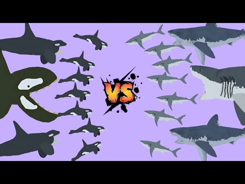 10 Sharks vs. 10 Orcas | Who will win? Epic Stick Nodes Animation Battle!