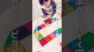 Pythagoras: An educational toy that can be enjoyed for a long time from 18 months old!