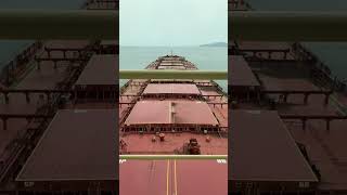#Ship departure vlog @Megaships barzil .#golden sapphire #golden ocean beyond the ocean