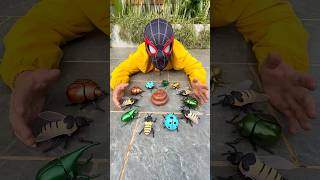 Rc Bee And beetle unboxing & testing 🐝🐝🐞