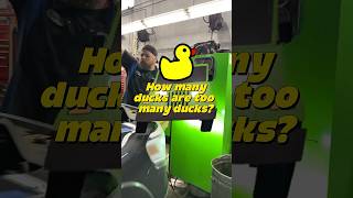 How many ducks 🦆are too many ducks on a JEEP? 🤔 #carshorts