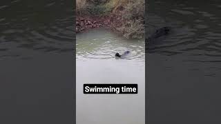 #subscribe #viralvideo #abhimali #belgaum