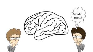 Introduction to Lifespan Psychology - whiteboard animation