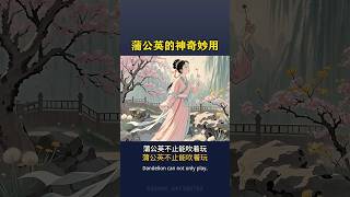 蒲公英的作用與功效 #養生 #養生之道 #養生知識 #健康 #健康養生 #健康科普 #健康生活 #道家養生 #長壽 #長壽秘訣 #長壽秘密 #保健 #健康好生活 #保健养生 #中國醫 #蒲公英