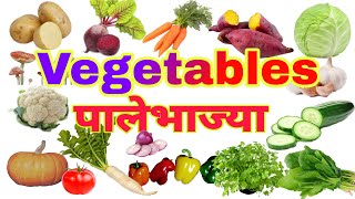 || vegetables Name in English & Marathi || पालेभाज्यांची नावे इंग्रजी व मराठीत ||
