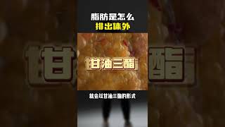 你知道人体的脂肪是怎么排出体外的吗？#健康 #医学 #常识 #科普