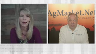 Markets Now Closes 7-24-25 Grains Bounce Digesting Wx, Pollination, Export News: Cattle Crumble