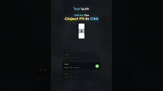 Perfect your image layouts with object-fit 🖼️💡