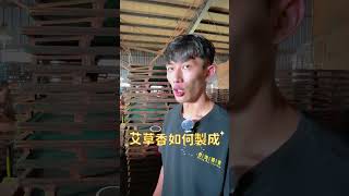 工廠開箱!! 艾草防蚊香【 原來在台灣製造這麼稀少?!?】
