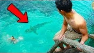 Top 4 Craziest NEAR TO DEATH EXPERIENCES