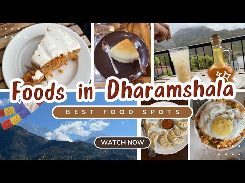 I tried Famous foods in Dharamshala💛 | Tibetan Flavors, Japanese Cheesecake & best bakery items ✨🍰