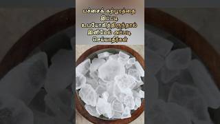 பச்சைக் கற்பூரத்தின் மகிமை #laxmi #பூஜை #வழிபாடு #laxmipuja #poojai #god #tamil #trending #ஆன்மீகம்