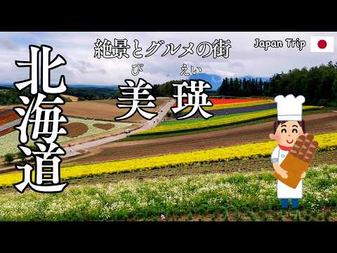 【北海道：四季彩の丘】車で巡る名所観光！子どもたちも大喜び！こんなパッチワークの花畑を見たことがなかった！グルメと絶景を巡る家族旅を余すところなく紹介
