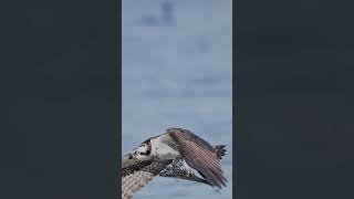 The Beauty of Nature: A Visual ExplorationThe Beauty of Nature: A Visual Exploration