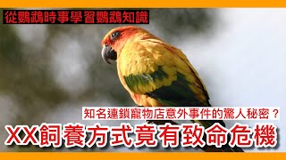 Do you know that "this" feeding method can kill parrots?