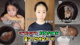 아기냥이가 엄마한테 버림받은거 같아요ㅠ 지하실에서 울고있는 아기고양이.. 롤롤라임팸 가족일상 브이로그