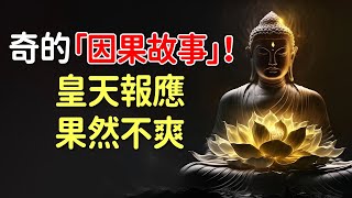 奇的「因果故事」！自然法則的回報機制，在生活中行善的重要性，是值得我們關注的｜好東西 佛說