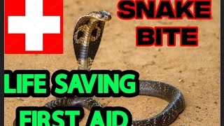 Snake Bite First Aid: What You ACTUALLY Need To Know