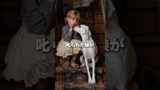 史上最高の絵画と称賛の声が寄せられた作品 #歴史 #美術