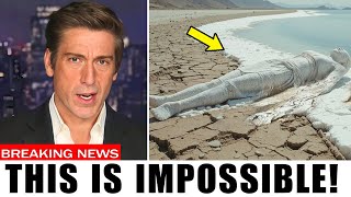 Dead Sea Bible Prophecy Is Coming True—Living Fish Found as Ezekiel Foretold!
