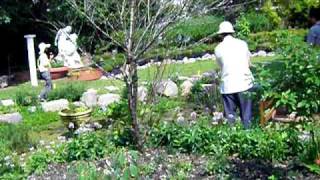 98生態環境營造計劃第一名台光香草園2