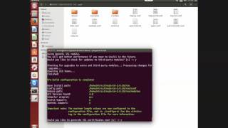 help inspircd configure with ssl in windows and linux