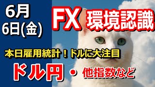 【TAKA FX】雇用統計でのドル注目！！　ドル円他各通貨の環境認識解説。各種指数、GOLDなど　6月6日(金)