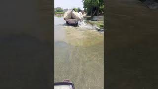 Indus River in Layyah (Punjab) #youtube
