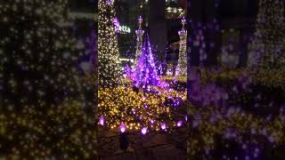 2018 東京汐留Caretta廣場冬季聖誕點燈秀(近距離觀賞)