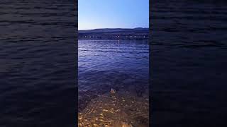 #calm #nature #sanset #foryou #goodvibes #calmvibes #subscribe #subscribers