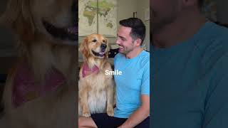 Proof that dogs can smile! #goldenretriever #dog #shorts30