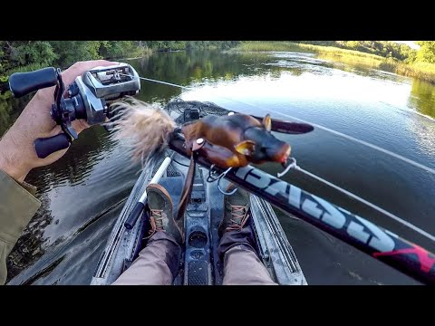 River Fishing With A Bat Lure!