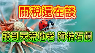 【存股人生-244】空單水位降至新低，外資全面看多？關稅還在談，談到天荒地老海枯石爛！【卡哇KAWA】