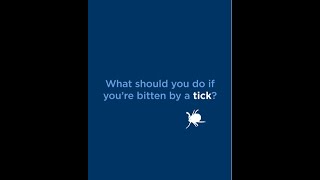 What to Do if You Are Bitten by a Tick